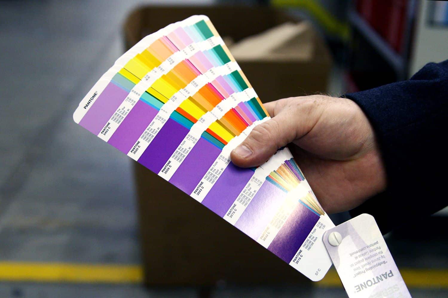 What is the Pantone Color Matching System (PMS)?